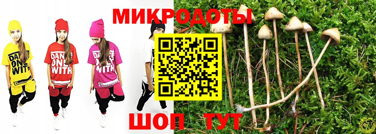 Галлюциногенные грибы Magic Shrooms  купить   Ногинск  Вход с VPN  Псилоцибиновые грибы Psilocybine cubensis 
